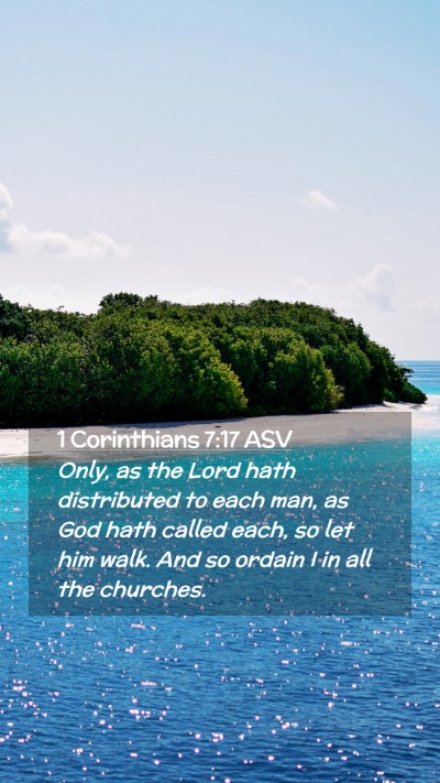 Picture 02 - 1 Corinthians 7:17 ASV Mobile Phone Wallpaper - Only, as the Lord hath distributed to each man, - Mobile Bible Verse Wallpaper