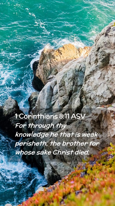 Picture 02 - 1 Corinthians 8:11 ASV Mobile Phone Wallpaper - For through thy knowledge he that is weak - Mobile Bible Verse Wallpaper