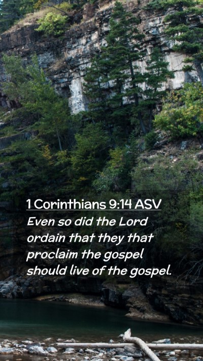 Picture 02 - 1 Corinthians 9:14 ASV Mobile Phone Wallpaper - Even so did the Lord ordain that they that - Mobile Bible Verse Wallpaper