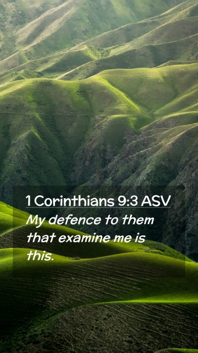 Picture 02 - 1 Corinthians 9:3 ASV Mobile Phone Wallpaper - My defence to them that examine me is - Mobile Bible Verse Wallpaper