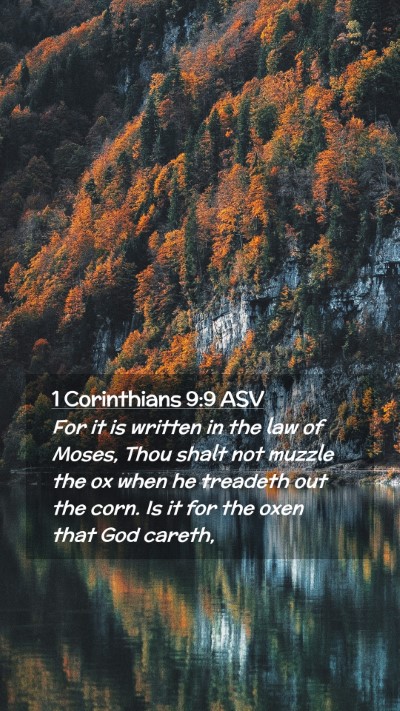 Picture 02 - 1 Corinthians 9:9 ASV Mobile Phone Wallpaper - For it is written in the law of Moses, Thou shalt - Mobile Bible Verse Wallpaper
