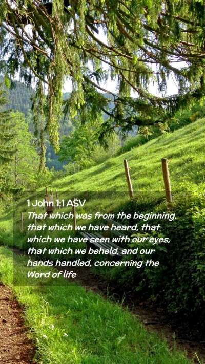 Picture 02 - 1 John 1:1 ASV Mobile Phone Wallpaper - That which was from the beginning, that which we - Mobile Bible Verse Wallpaper