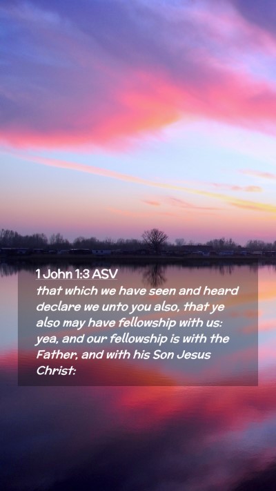 Picture 02 - 1 John 1:3 ASV Mobile Phone Wallpaper - that which we have seen and heard declare we unto - Mobile Bible Verse Wallpaper