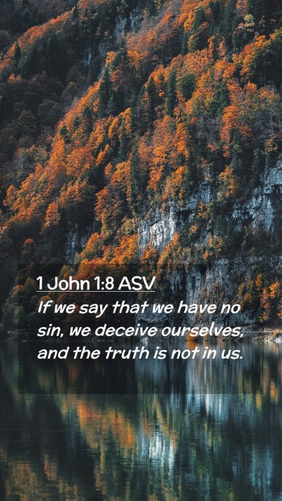 Picture 02 - 1 John 1:8 ASV Mobile Phone Wallpaper - If we say that we have no sin, we deceive - Mobile Bible Verse Wallpaper