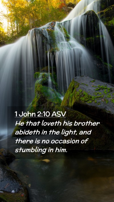 Picture 02 - 1 John 2:10 ASV Mobile Phone Wallpaper - He that loveth his brother abideth in the light, - Mobile Bible Verse Wallpaper