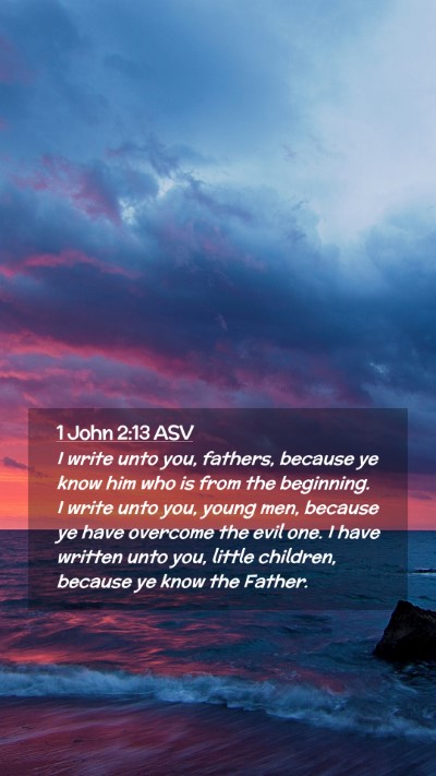 Picture 02 - 1 John 2:13 ASV Mobile Phone Wallpaper - I write unto you, fathers, because ye know him - Mobile Bible Verse Wallpaper