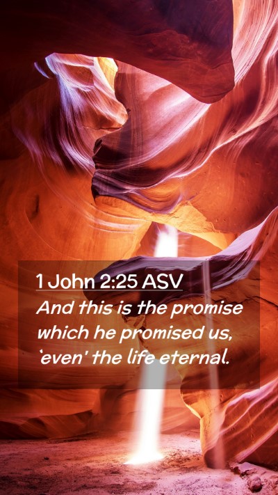 Picture 02 - 1 John 2:25 ASV Mobile Phone Wallpaper - And this is the promise which he promised us, - Mobile Bible Verse Wallpaper