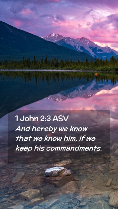 Picture 02 - 1 John 2:3 ASV Mobile Phone Wallpaper - And hereby we know that we know him, if we keep - Mobile Bible Verse Wallpaper