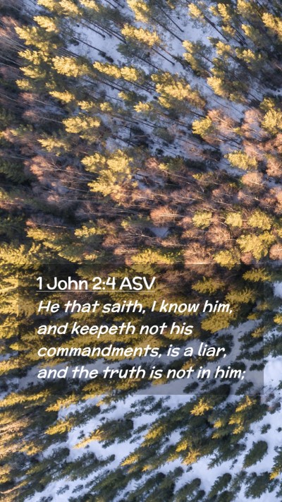 Picture 02 - 1 John 2:4 ASV Mobile Phone Wallpaper - He that saith, I know him, and keepeth not his - Mobile Bible Verse Wallpaper