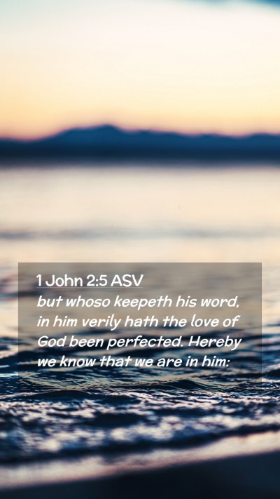 Picture 02 - 1 John 2:5 ASV Mobile Phone Wallpaper - but whoso keepeth his word, in him verily hath - Mobile Bible Verse Wallpaper