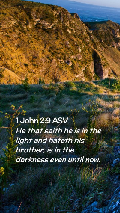 Picture 02 - 1 John 2:9 ASV Mobile Phone Wallpaper - He that saith he is in the light and hateth his - Mobile Bible Verse Wallpaper