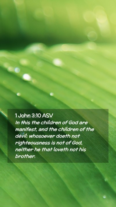 Picture 02 - 1 John 3:10 ASV Mobile Phone Wallpaper - In this the children of God are manifest, and the - Mobile Bible Verse Wallpaper