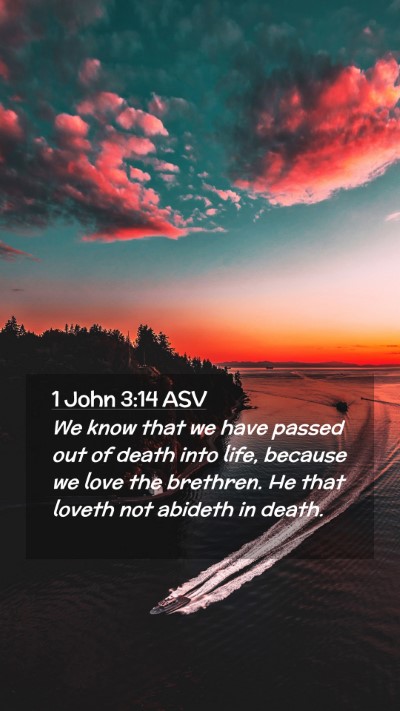 Picture 02 - 1 John 3:14 ASV Mobile Phone Wallpaper - We know that we have passed out of death into - Mobile Bible Verse Wallpaper