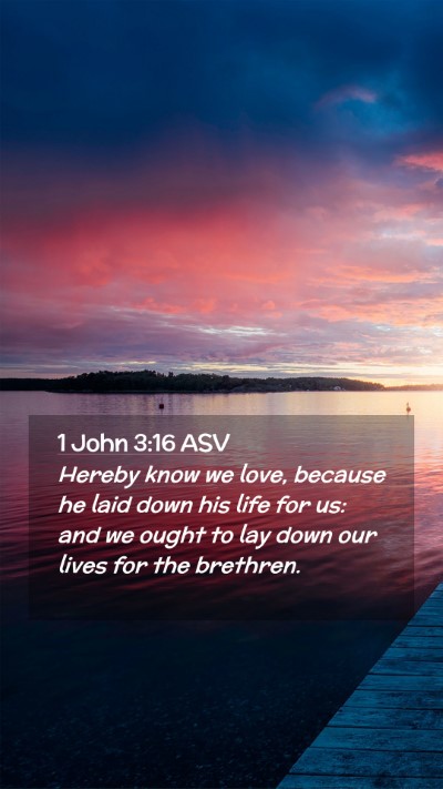 Picture 02 - 1 John 3:16 ASV Mobile Phone Wallpaper - Hereby know we love, because he laid down his - Mobile Bible Verse Wallpaper