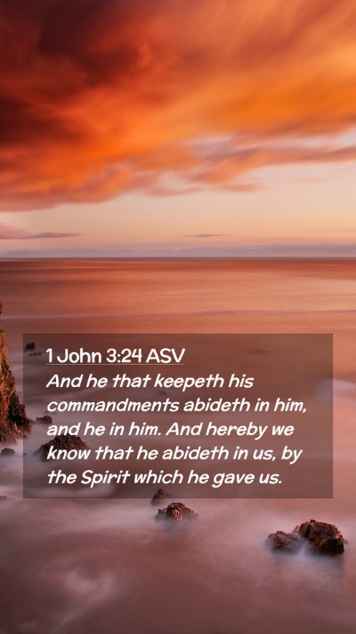 Picture 02 - 1 John 3:24 ASV Mobile Phone Wallpaper - And he that keepeth his commandments abideth in - Mobile Bible Verse Wallpaper