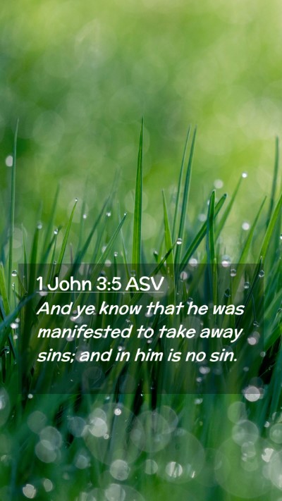 Picture 02 - 1 John 3:5 ASV Mobile Phone Wallpaper - And ye know that he was manifested to take away - Mobile Bible Verse Wallpaper
