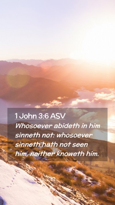 Picture 02 - 1 John 3:6 ASV Mobile Phone Wallpaper - Whosoever abideth in him sinneth not: whosoever - Mobile Bible Verse Wallpaper