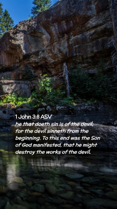 Picture 02 - 1 John 3:8 ASV Mobile Phone Wallpaper - he that doeth sin is of the devil; for the devil - Mobile Bible Verse Wallpaper