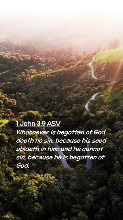 Picture 02 - 1 John 3:9 ASV Mobile Phone Wallpaper - Whosoever is begotten of God doeth no sin, - Mobile Bible Verse Wallpaper