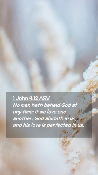 Picture 02 - 1 John 4:12 ASV Mobile Phone Wallpaper - No man hath beheld God at any time: if we love - Mobile Bible Verse Wallpaper