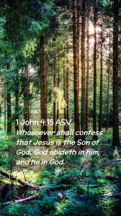 Picture 02 - 1 John 4:15 ASV Mobile Phone Wallpaper - Whosoever shall confess that Jesus is the Son of - Mobile Bible Verse Wallpaper