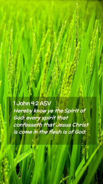 Picture 02 - 1 John 4:2 ASV Mobile Phone Wallpaper - Hereby know ye the Spirit of God: every spirit - Mobile Bible Verse Wallpaper
