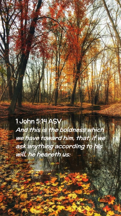 Picture 02 - 1 John 5:14 ASV Mobile Phone Wallpaper - And this is the boldness which we have toward - Mobile Bible Verse Wallpaper