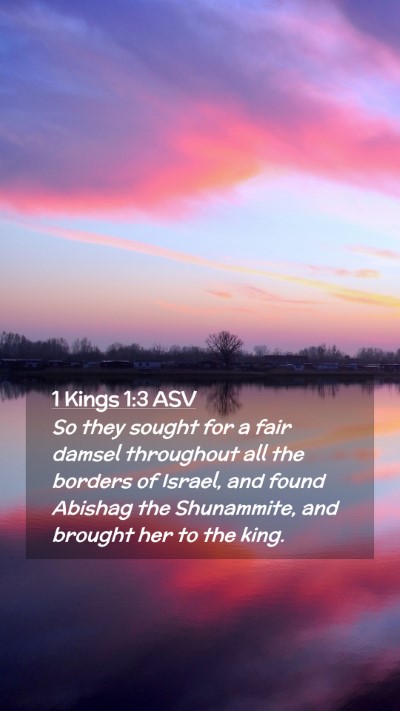 Picture 02 - 1 Kings 1:3 ASV Mobile Phone Wallpaper - So they sought for a fair damsel throughout all - Mobile Bible Verse Wallpaper