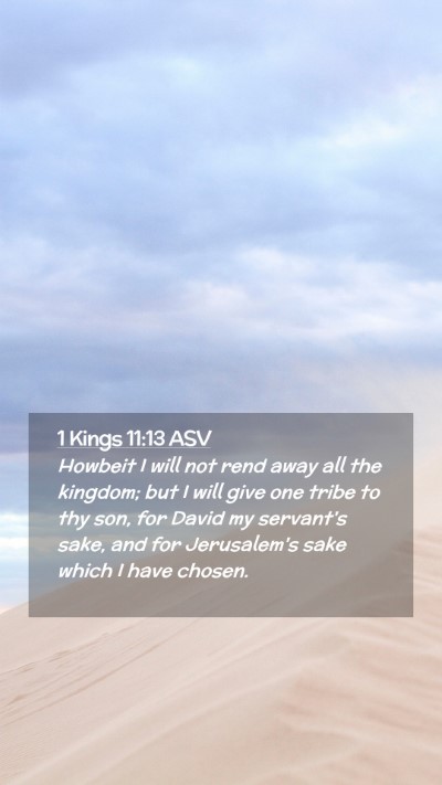 Picture 02 - 1 Kings 11:13 ASV Mobile Phone Wallpaper - Howbeit I will not rend away all the kingdom; but - Mobile Bible Verse Wallpaper
