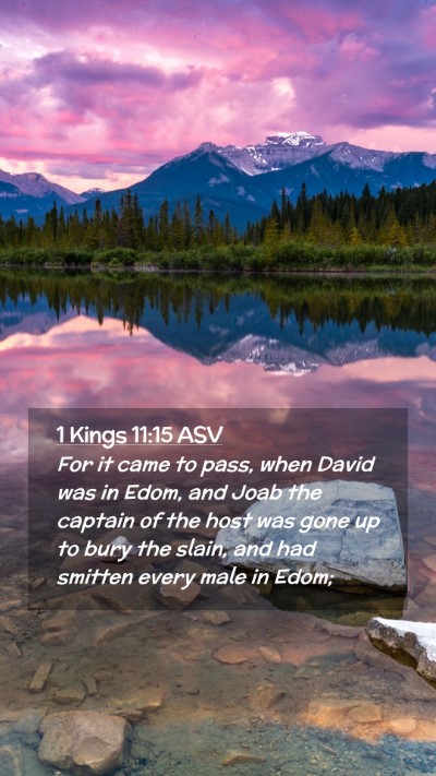 Picture 02 - 1 Kings 11:15 ASV Mobile Phone Wallpaper - For it came to pass, when David was in Edom, and - Mobile Bible Verse Wallpaper