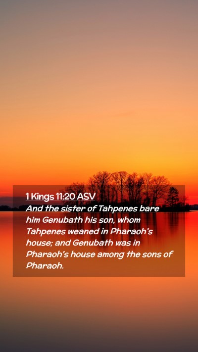 Picture 02 - 1 Kings 11:20 ASV Mobile Phone Wallpaper - And the sister of Tahpenes bare him Genubath his - Mobile Bible Verse Wallpaper