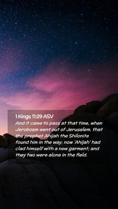 Picture 02 - 1 Kings 11:29 ASV Mobile Phone Wallpaper - And it came to pass at that time, when Jeroboam - Mobile Bible Verse Wallpaper