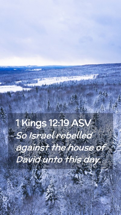 Picture 02 - 1 Kings 12:19 ASV Mobile Phone Wallpaper - So Israel rebelled against the house of David - Mobile Bible Verse Wallpaper