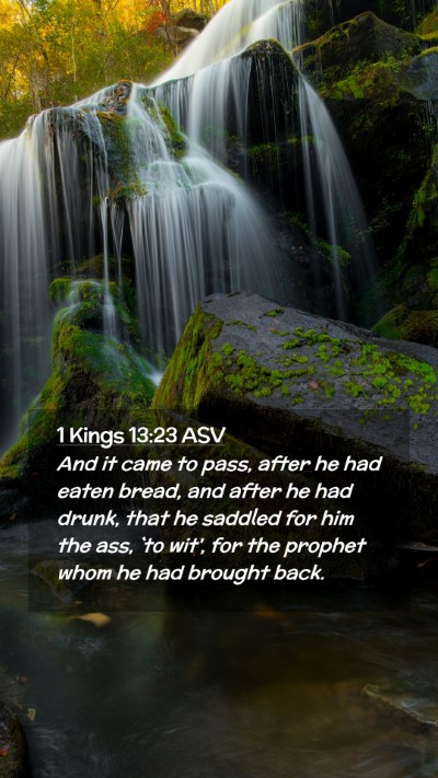 Picture 02 - 1 Kings 13:23 ASV Mobile Phone Wallpaper - And it came to pass, after he had eaten bread, - Mobile Bible Verse Wallpaper