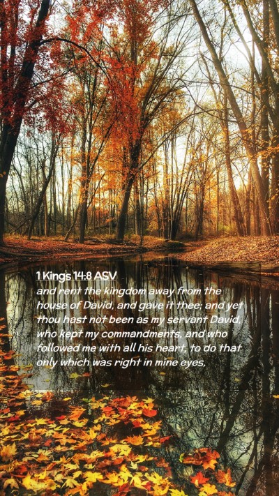 Picture 02 - 1 Kings 14:8 ASV Mobile Phone Wallpaper - and rent the kingdom away from the house of - Mobile Bible Verse Wallpaper