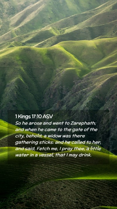 Picture 02 - 1 Kings 17:10 ASV Mobile Phone Wallpaper - So he arose and went to Zarephath; and when he - Mobile Bible Verse Wallpaper