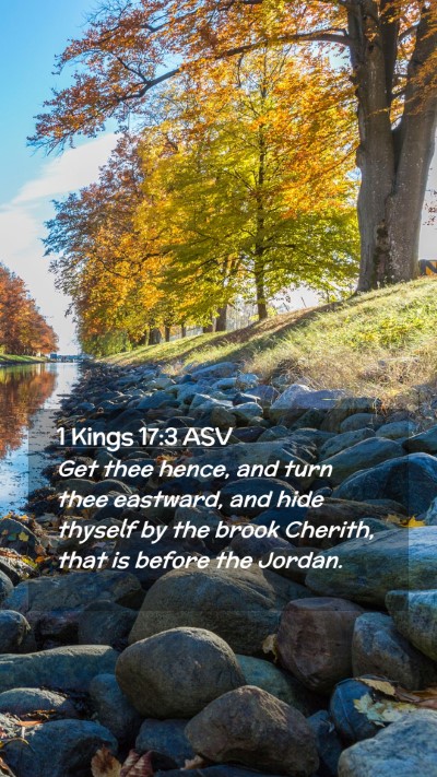 Picture 02 - 1 Kings 17:3 ASV Mobile Phone Wallpaper - Get thee hence, and turn thee eastward, and hide - Mobile Bible Verse Wallpaper