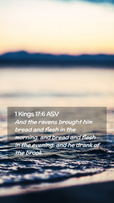 Picture 02 - 1 Kings 17:6 ASV Mobile Phone Wallpaper - And the ravens brought him bread and flesh in the - Mobile Bible Verse Wallpaper