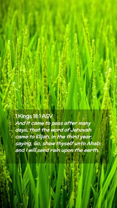 Picture 02 - 1 Kings 18:1 ASV Mobile Phone Wallpaper - And it came to pass after many days, that the - Mobile Bible Verse Wallpaper