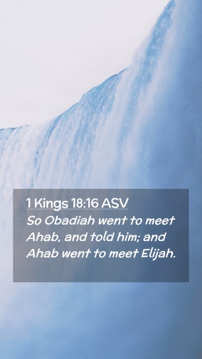 Picture 02 - 1 Kings 18:16 ASV Mobile Phone Wallpaper - So Obadiah went to meet Ahab, and told him; and - Mobile Bible Verse Wallpaper