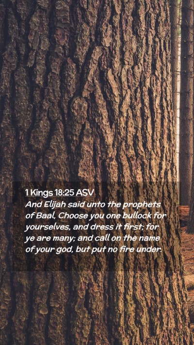 Picture 02 - 1 Kings 18:25 ASV Mobile Phone Wallpaper - And Elijah said unto the prophets of Baal, Choose - Mobile Bible Verse Wallpaper