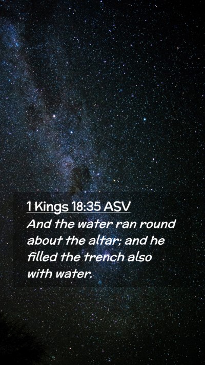 Picture 02 - 1 Kings 18:35 ASV Mobile Phone Wallpaper - And the water ran round about the altar; and he - Mobile Bible Verse Wallpaper