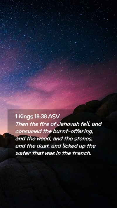 Picture 02 - 1 Kings 18:38 ASV Mobile Phone Wallpaper - Then the fire of Jehovah fell, and consumed the - Mobile Bible Verse Wallpaper