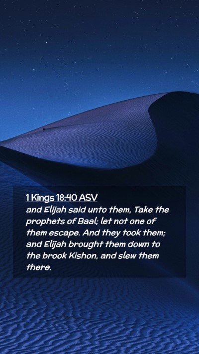 Picture 02 - 1 Kings 18:40 ASV Mobile Phone Wallpaper - and Elijah said unto them, Take the prophets of - Mobile Bible Verse Wallpaper