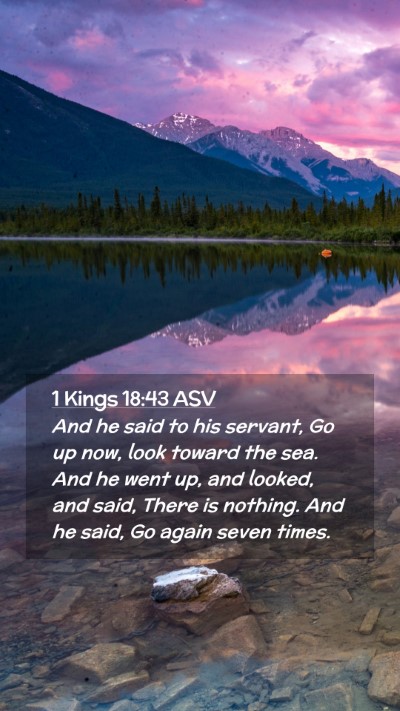 Picture 02 - 1 Kings 18:43 ASV Mobile Phone Wallpaper - And he said to his servant, Go up now, look - Mobile Bible Verse Wallpaper