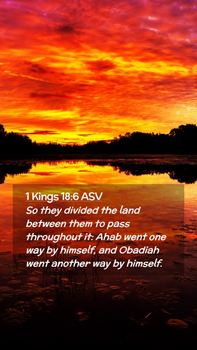 Picture 02 - 1 Kings 18:6 ASV Mobile Phone Wallpaper - So they divided the land between them to pass - Mobile Bible Verse Wallpaper