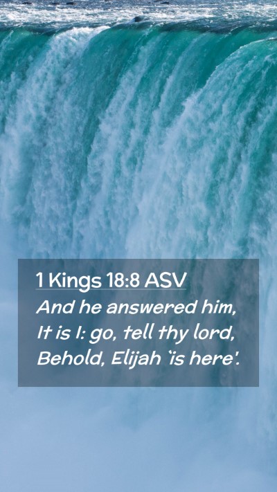 Picture 02 - 1 Kings 18:8 ASV Mobile Phone Wallpaper - And he answered him, It is I: go, tell thy lord, - Mobile Bible Verse Wallpaper