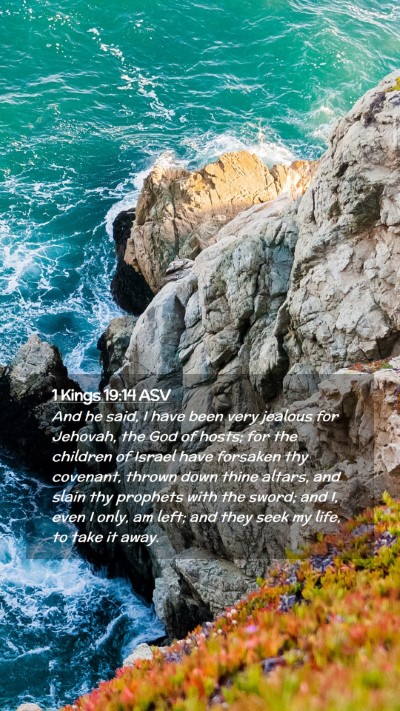 Picture 02 - 1 Kings 19:14 ASV Mobile Phone Wallpaper - And he said, I have been very jealous for - Mobile Bible Verse Wallpaper