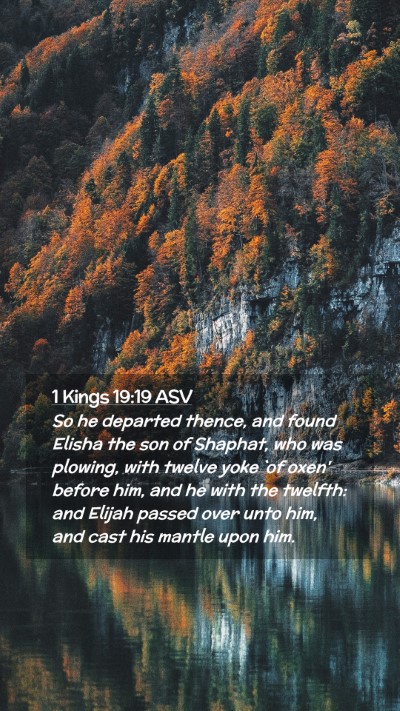 Picture 02 - 1 Kings 19:19 ASV Mobile Phone Wallpaper - So he departed thence, and found Elisha the son - Mobile Bible Verse Wallpaper