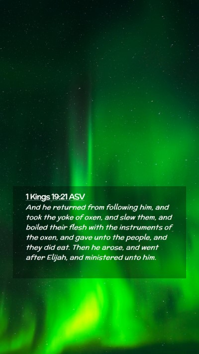 Picture 02 - 1 Kings 19:21 ASV Mobile Phone Wallpaper - And he returned from following him, and took the - Mobile Bible Verse Wallpaper